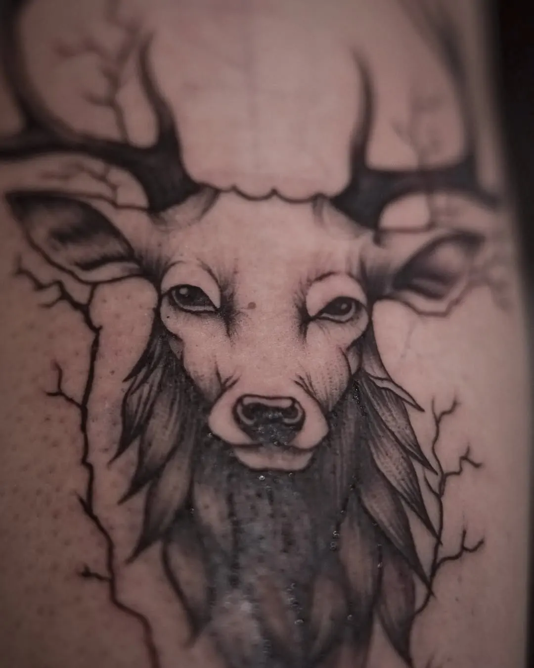 Wildlife tattoo by Kamz Inkzone