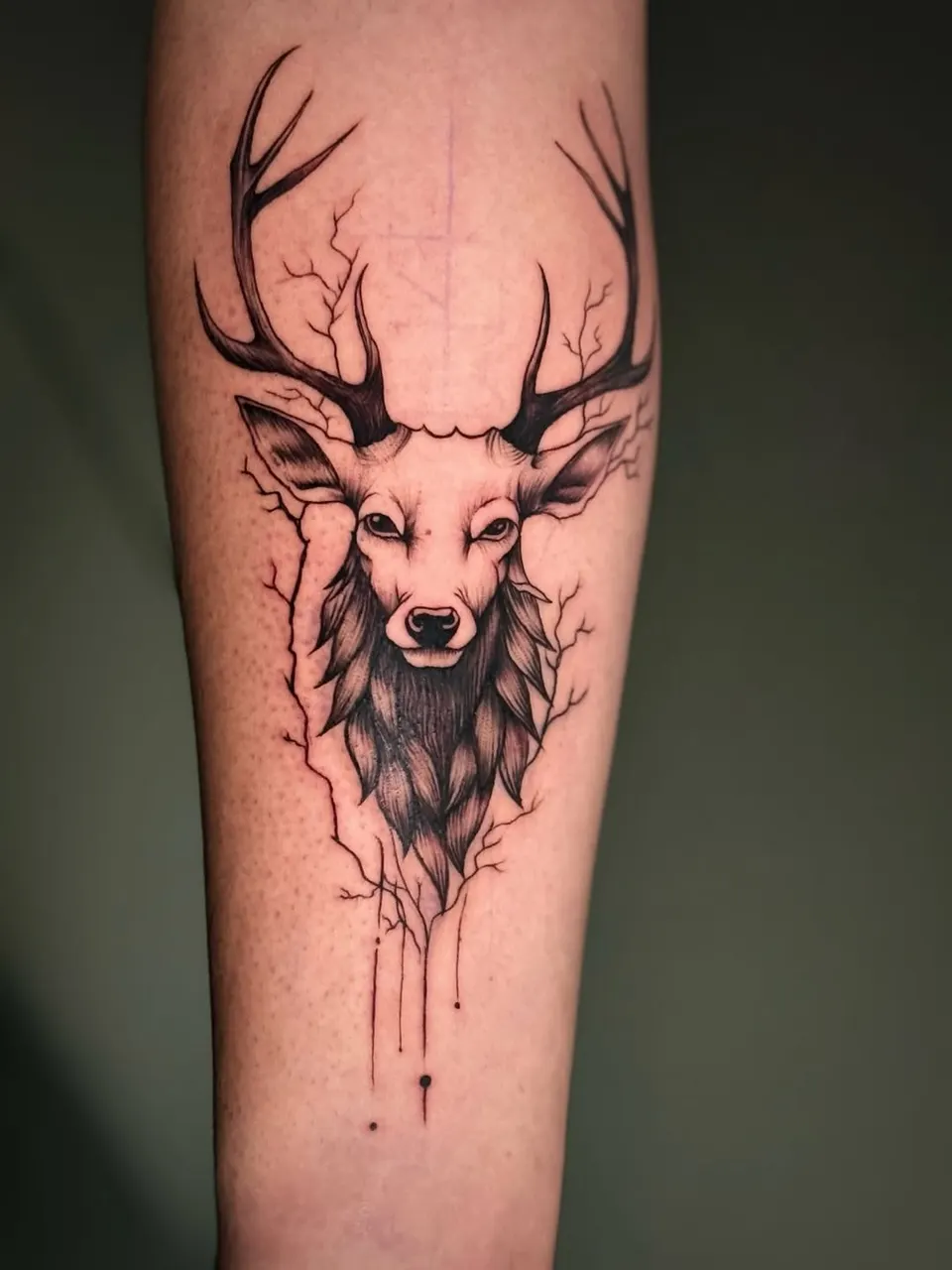 Wildlife tattoo by Kamz Inkzone